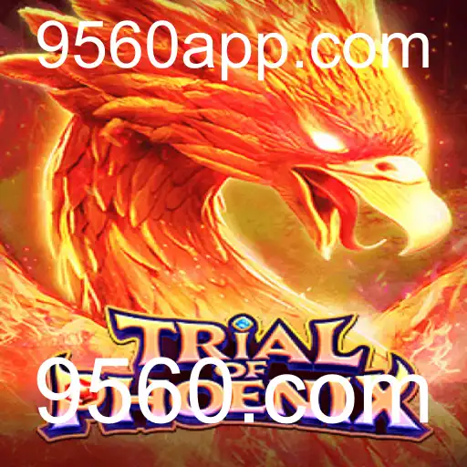 9560.com Jogos ao vivo